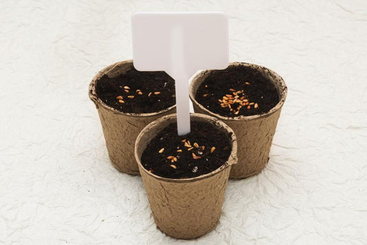 Biodegradable pots